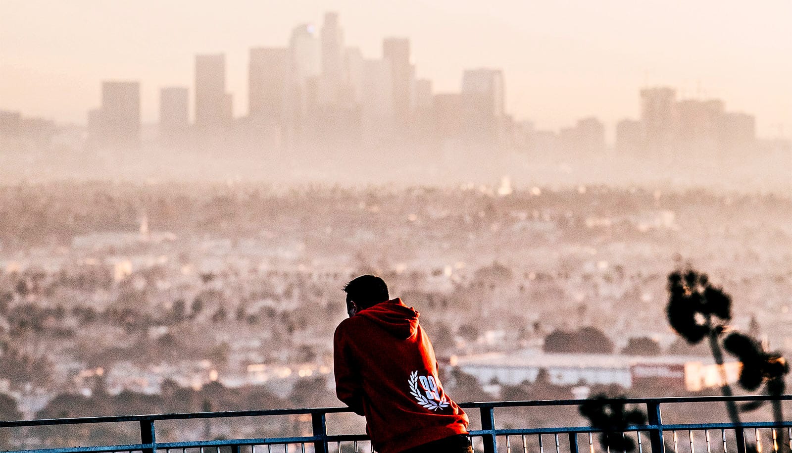 Direct observation of chemical reactions creating urban smog