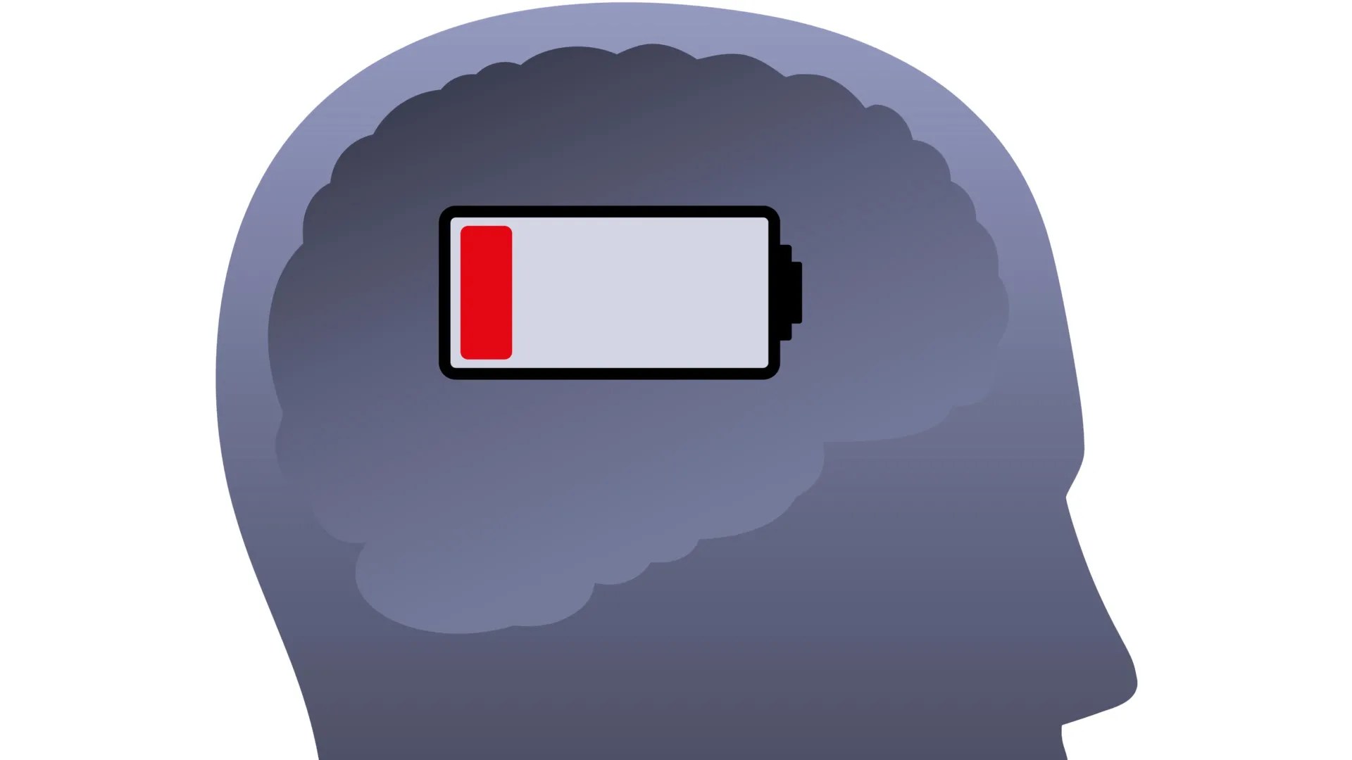 Energy consumption patterns in the dreaming brain