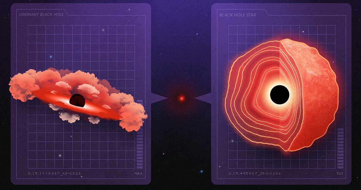 Little Red Dots May Be Black Hole Stars