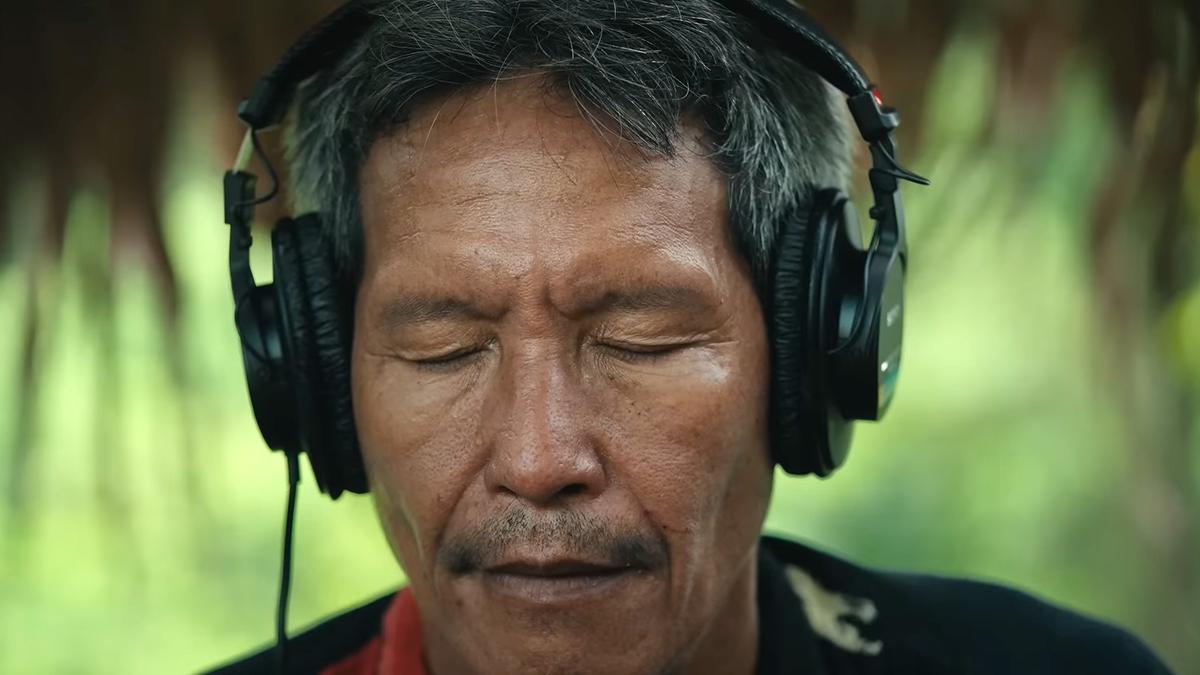 Noise Pollution Erases Rainforest Soundscapes