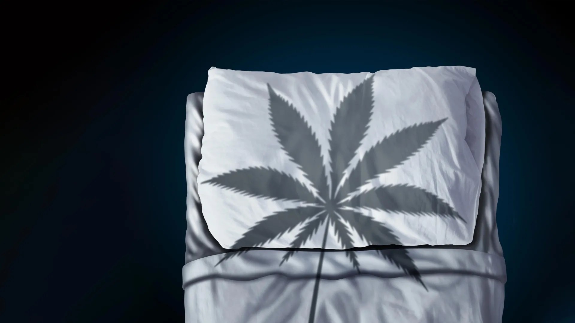 Cannabinol sleep gummies show signs of dependence in mice