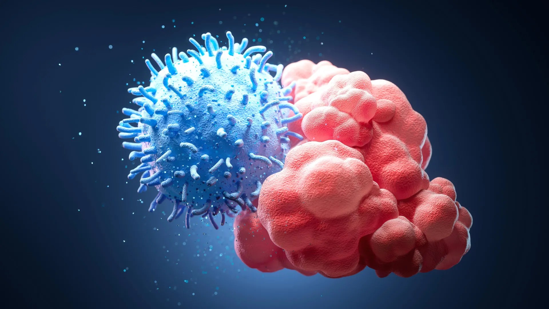 Immune cells feel tissue stiffness to form memory