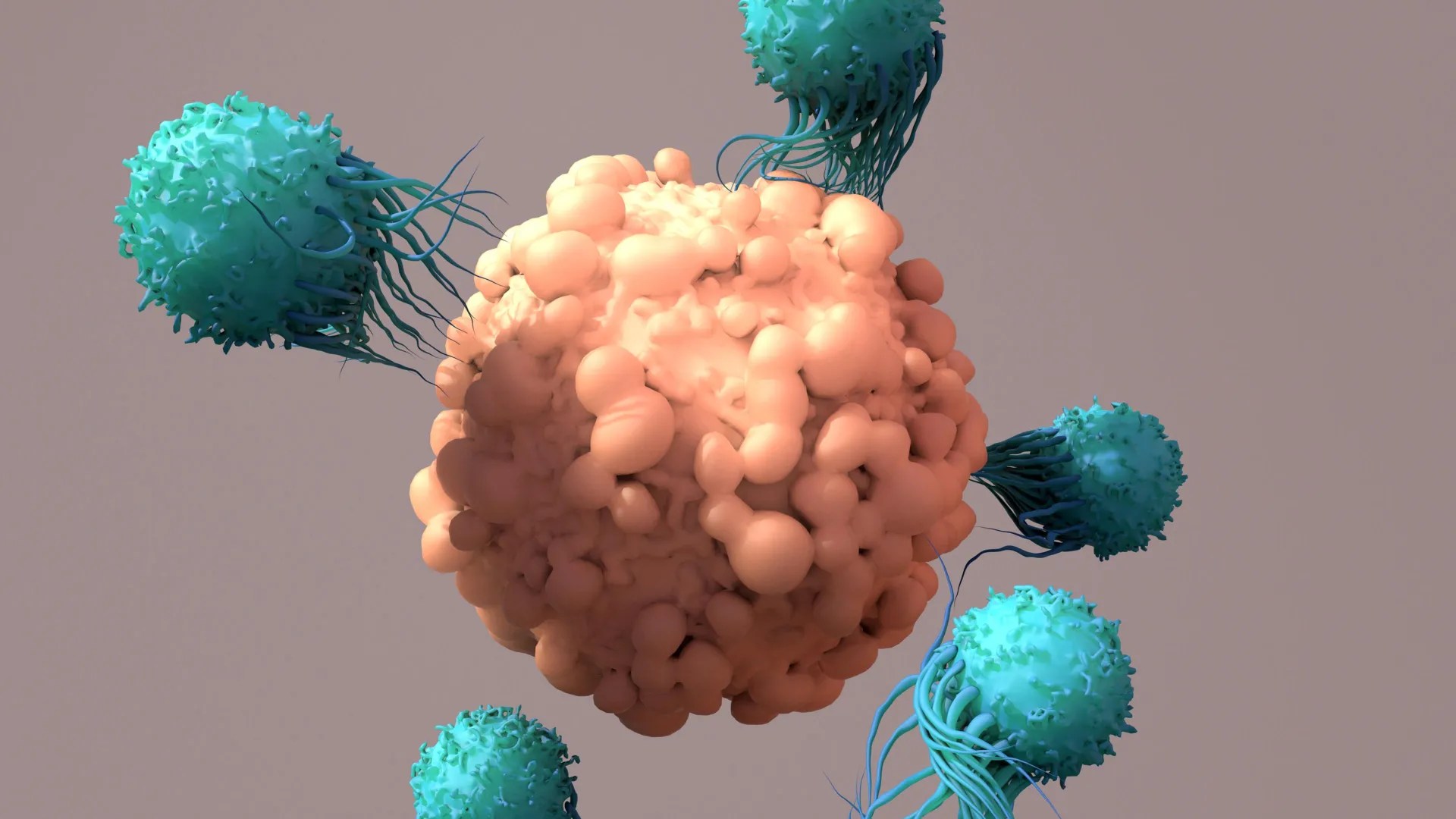 Programming immune cells directly inside the body