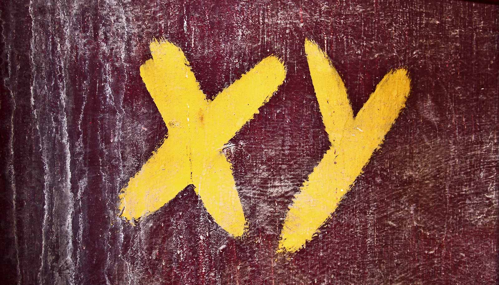 Sex chromosomes drive disease risk beyond hormones