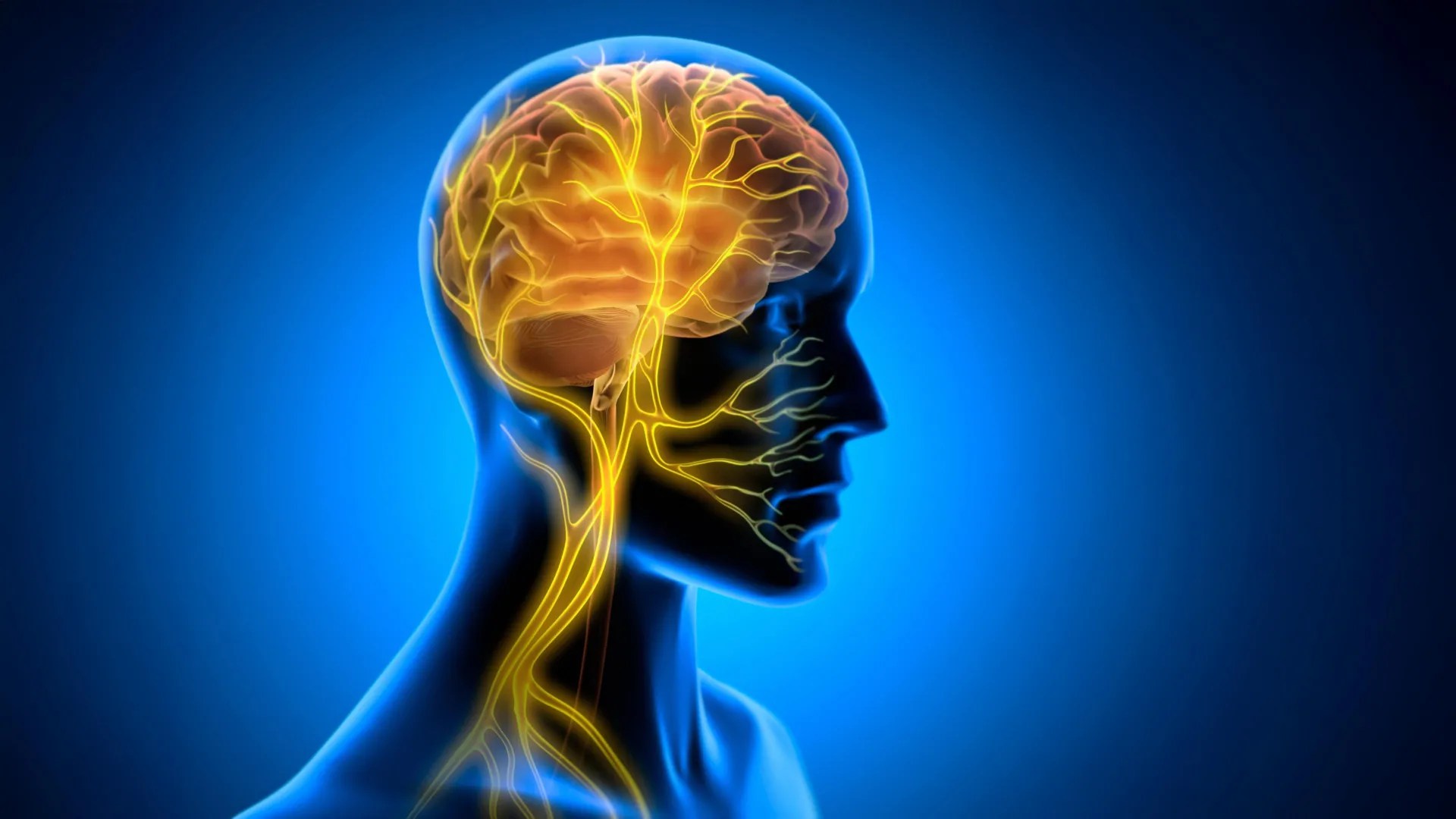 Vagus nerve stimulation helps cement new motor skills