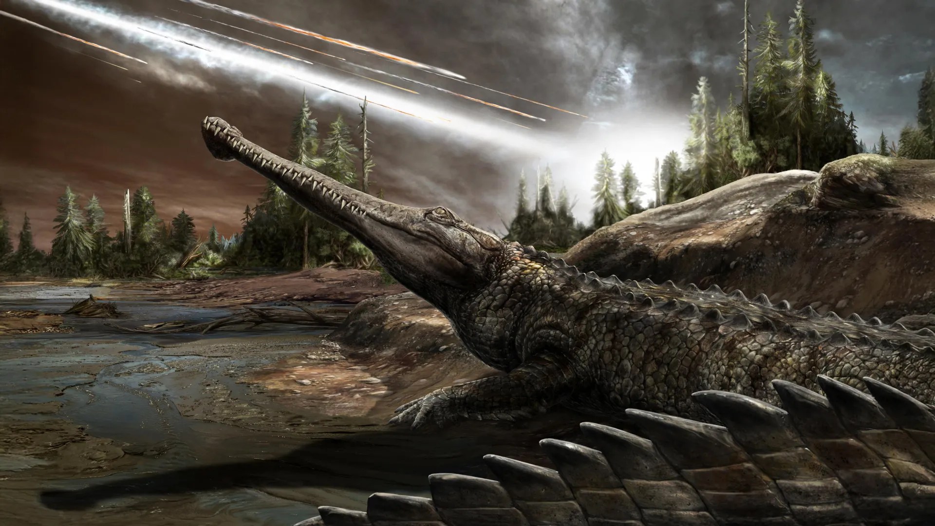Why crocodiles survived the asteroid impact